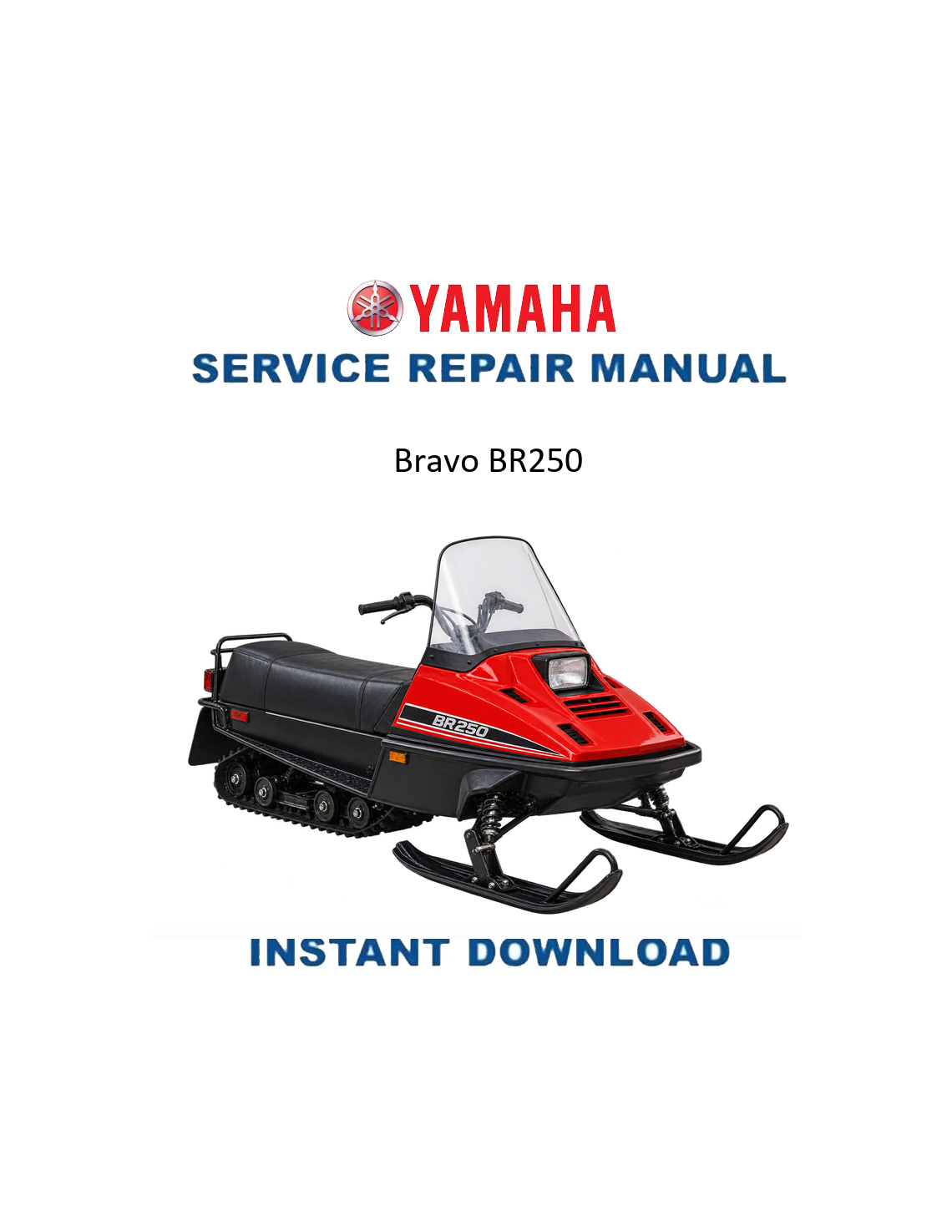 Yamaha Bravo BR250 service manual PDF