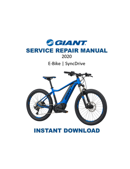Giant Momentum E-Bike 2020 service manual PDF