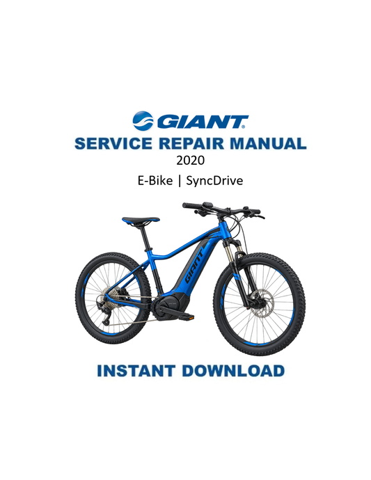 Giant Momentum E-Bike 2020 service manual PDF