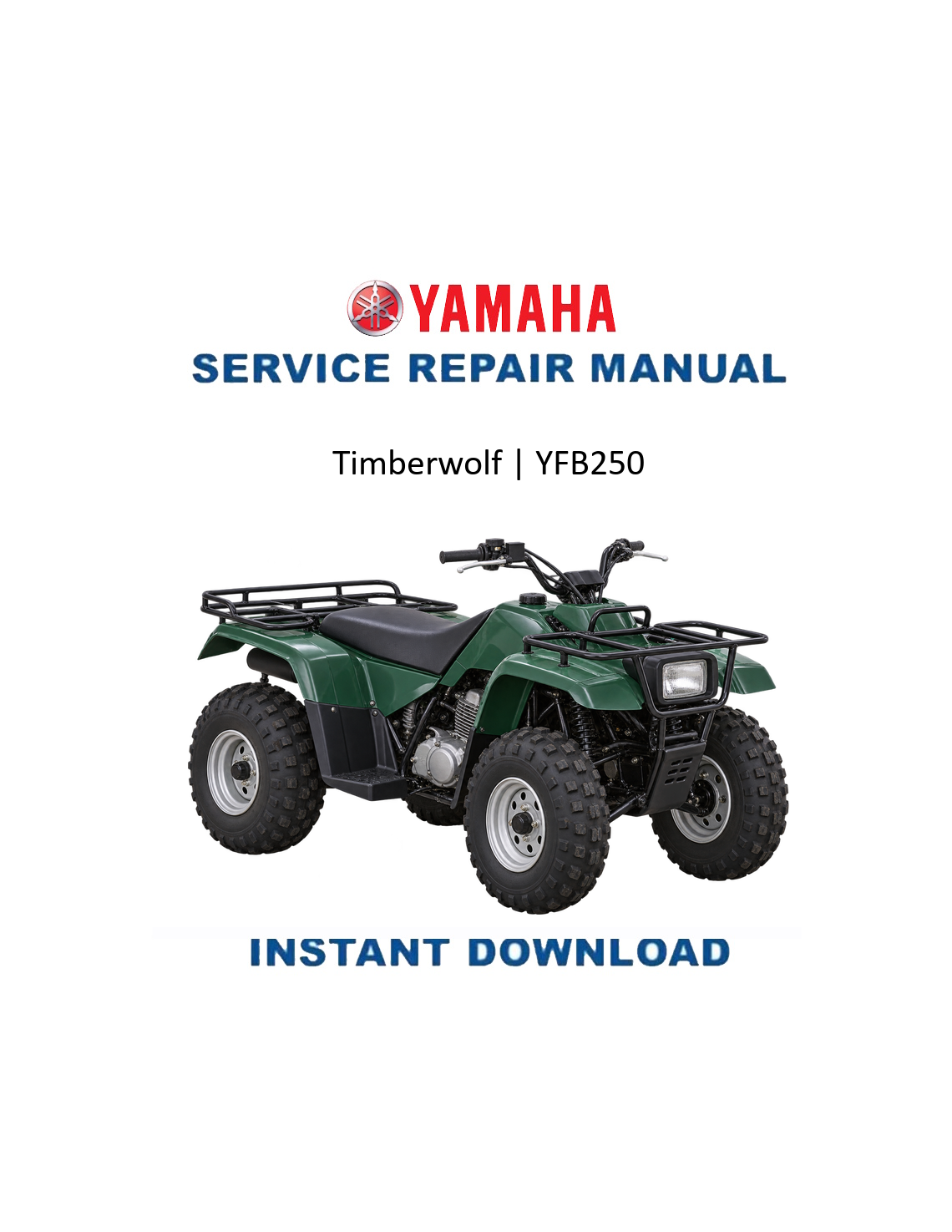 Yamaha Timberwolf YFB250 1995 service manual PDF