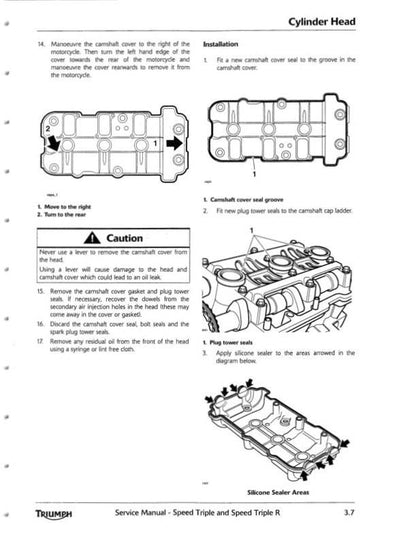 Triumph Speed Triple Motorcycle Service Manual sample page from service manual