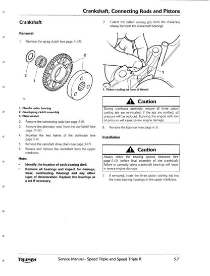 Triumph Speed Triple Motorcycle Service Manual sample page with diagrams and specifications