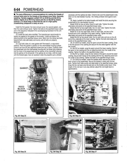 Yamaha 2 - 250 HP Outboard Service Manual sample page with service data and tables