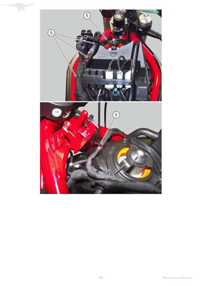 Ducati Monster 821 Motorcycle Service Manual sample page from the repair manual