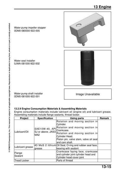 CFMOTO 300SS Service Manual sample page with service data and tables