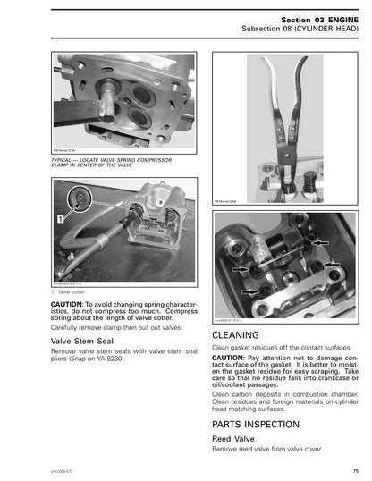 Can Am DS 250 Service Manual sample page with diagrams and specifications