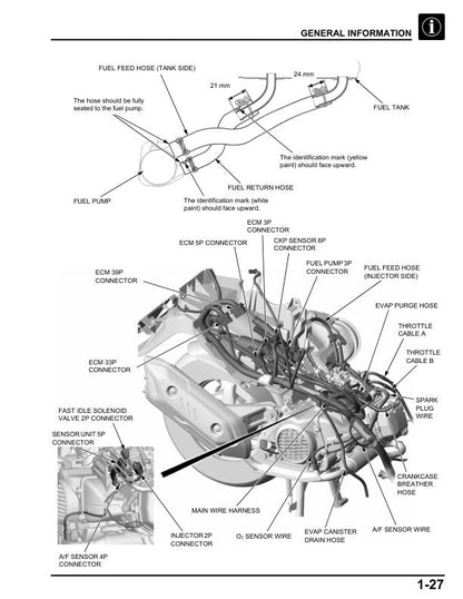 Honda Elite 125 Scooter Service Manual | 2024-2026 - sample page 3