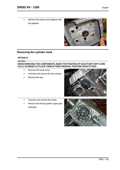 Moto Guzzi Griso 8V 1200 Motorcycle Service Manual | 2010-2014 - sample page 6