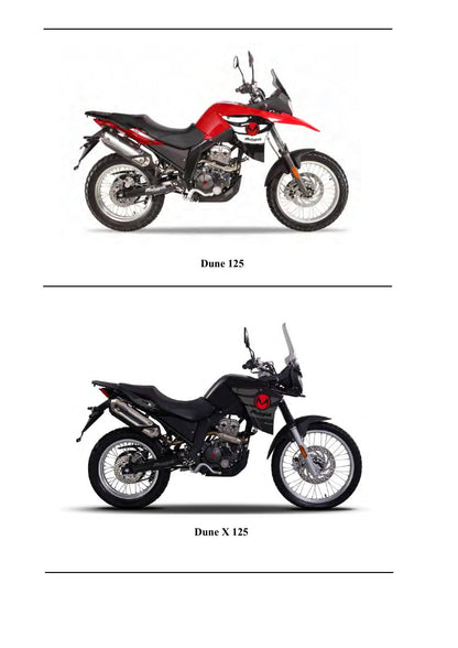 Malaguti Dune 125 Dune X 125 Motorcycle Service Manual | 2018-2022 - sample page 4