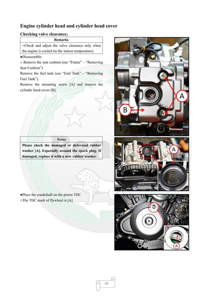 Benelli Leoncino 250 Motorcycle Service Manual | 2020-2024 - sample page 2