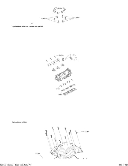 Triumph Tiger 900 Rally Pro Motorcycle Service Manual | 2020-2024 - sample page 3