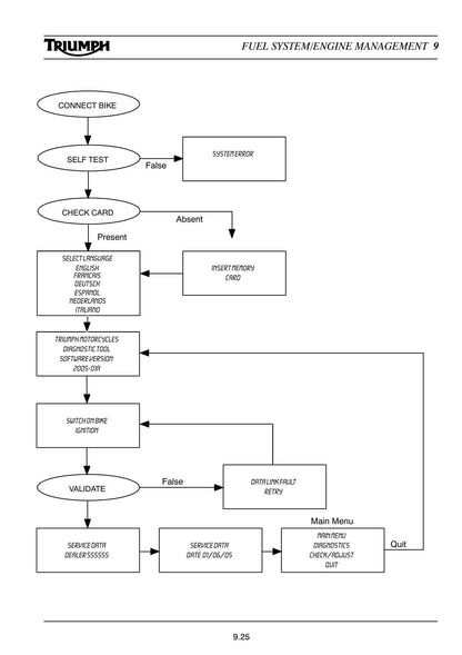 Triumph Tiger 955 Motorcycle Service Manual | 2005-2009 - sample page 10