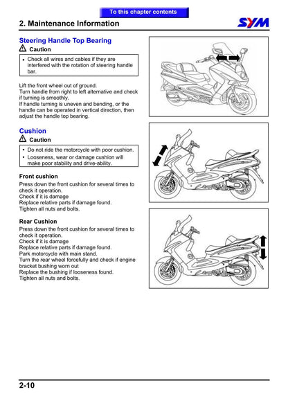 SYM GTS 250 Joymax 250 Scooter Service Manual | 2005-2009 - sample page 5