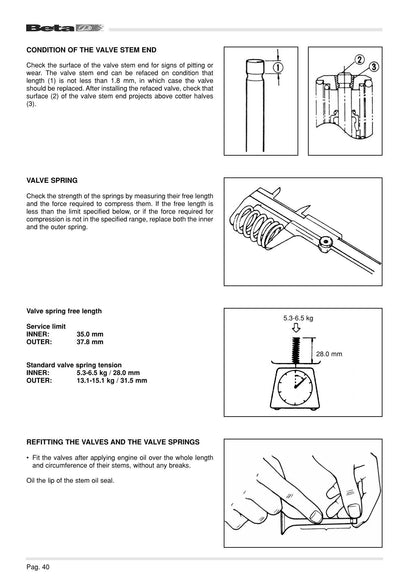 Betamotor Alp 4.0 Motard 4.0 Motorcycle Service Manual | 2006-2010 - sample page 3