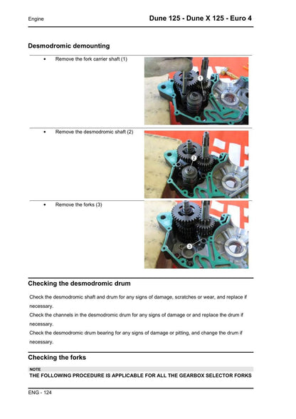 Malaguti Dune 125 Dune X 125 Motorcycle Service Manual | 2018-2022 - sample page 3
