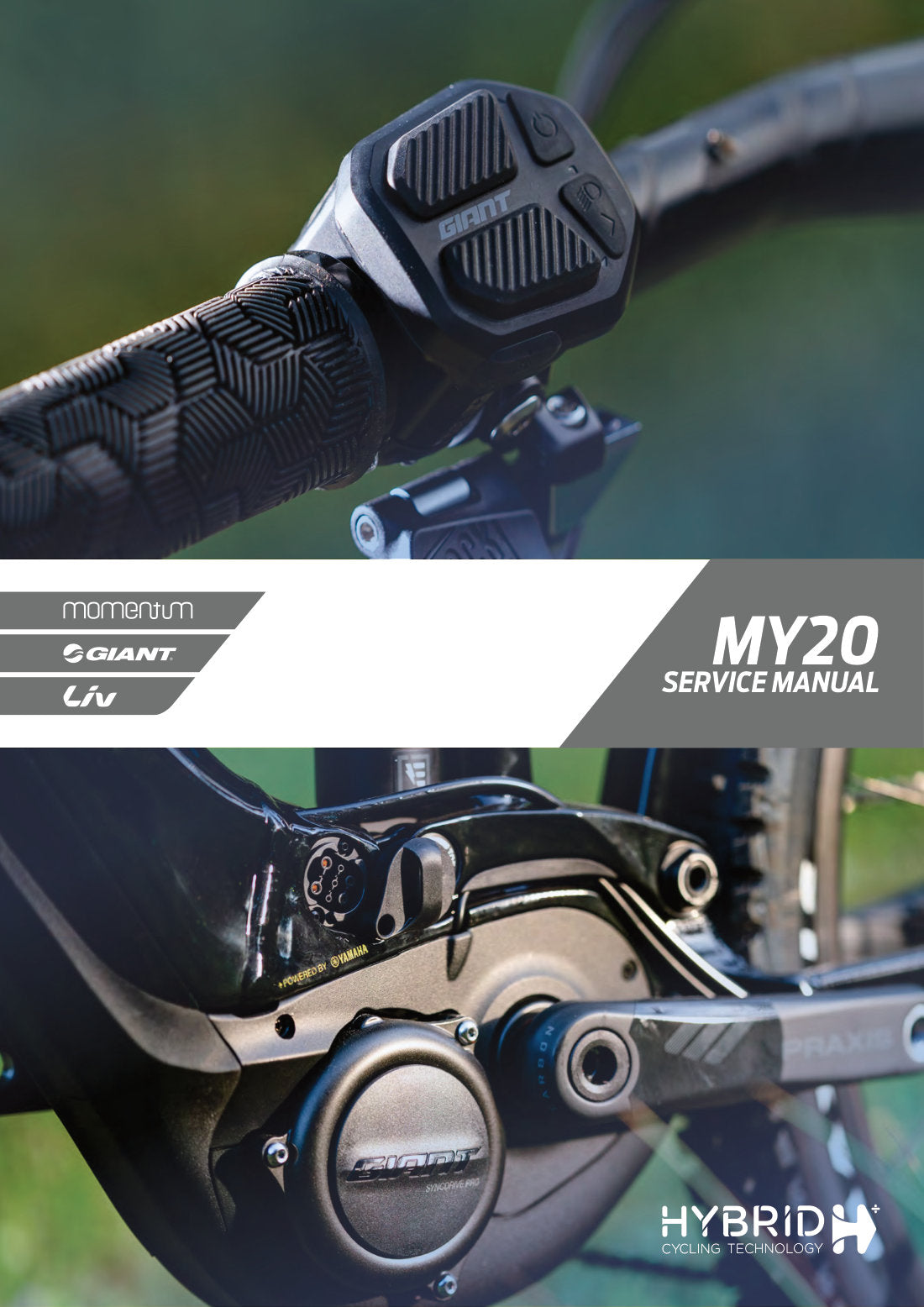 Giant Momentum E-Bike 2020 service manual - page 1