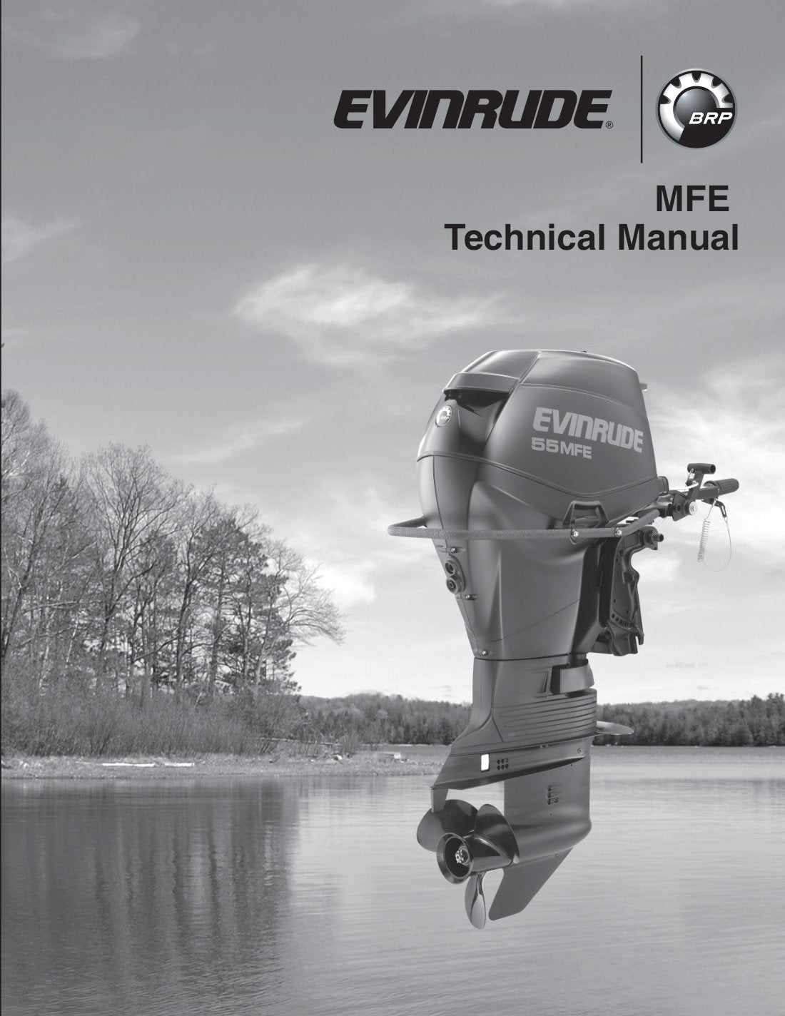 Evinrude 55 HP MFE 2010 service manual - page 1