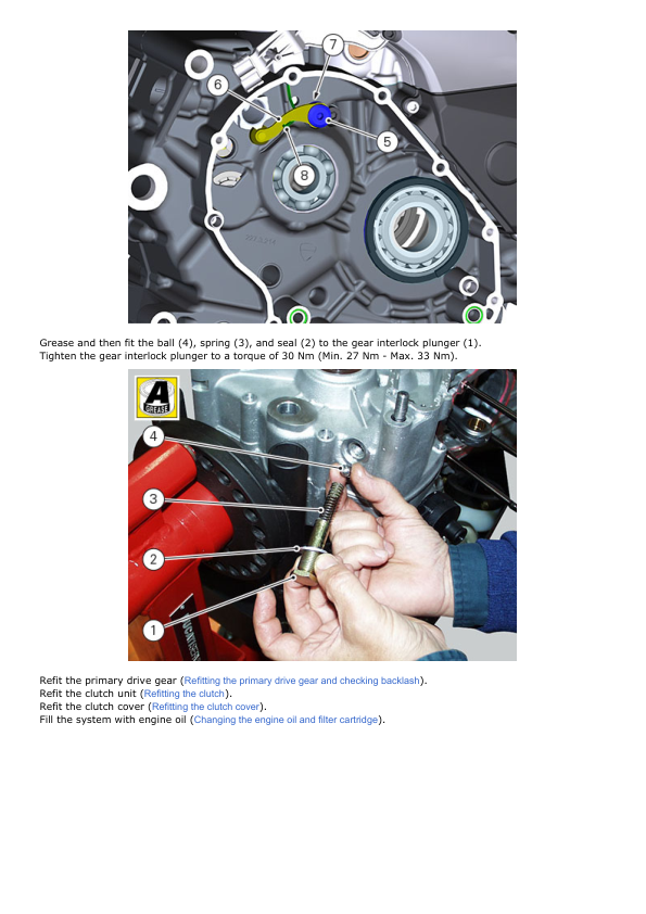 Manual de servicio de motocicleta Ducati Monster 1200R | 2016-2019