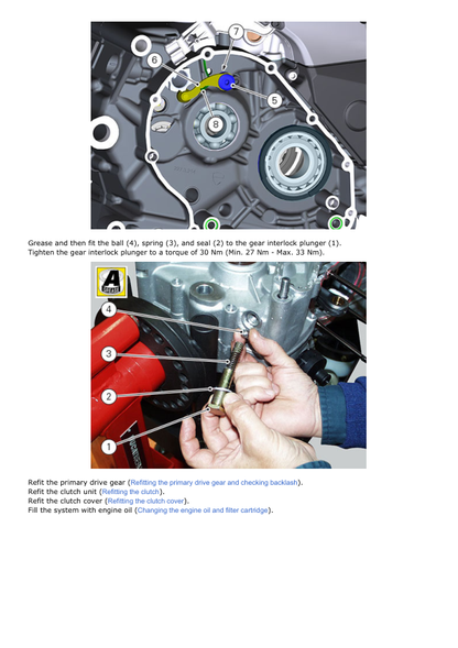 Manual de servicio de motocicleta Ducati Monster 1200R | 2016-2019