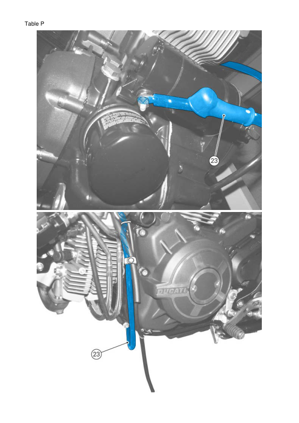 Manuale di servizio motociclo Ducati Scrambler 800 | 2015-2019
