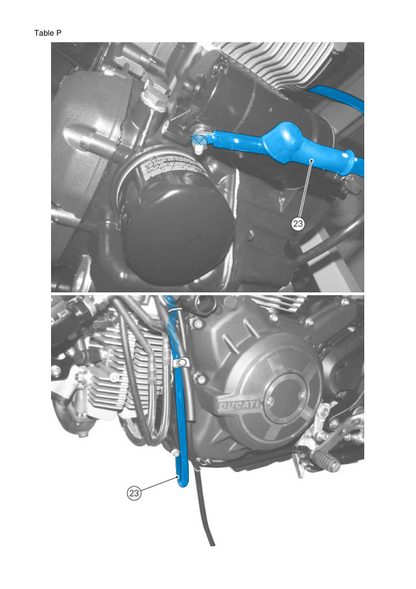 Manuale di servizio motociclo Ducati Scrambler 800 | 2015-2019