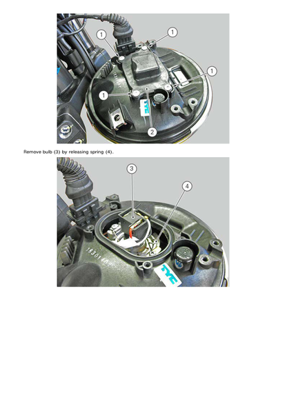 Manuale di servizio motociclo Ducati Scrambler 800 | 2015-2019